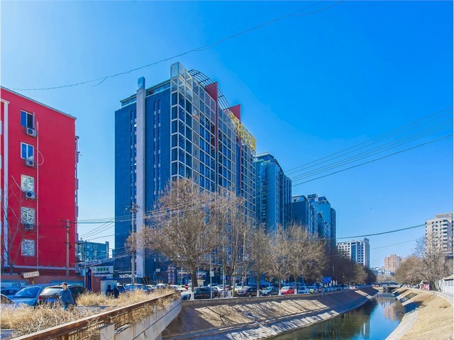 临海市绿篱养护服务